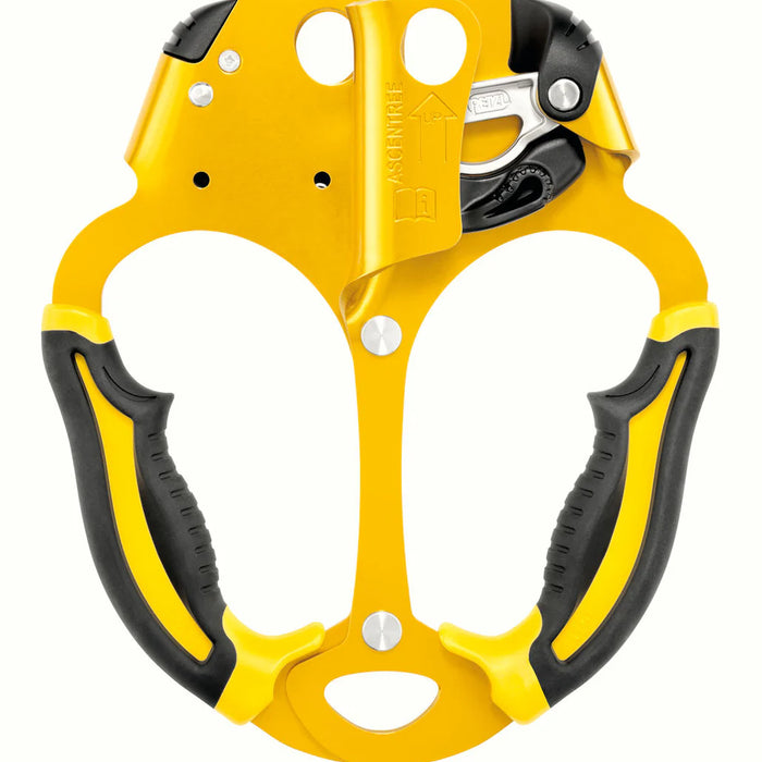 Petzl ASCENTREE: A Dual-Cam Ascender Designed for Arborists
