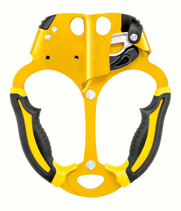 Master the Canopy: Exploring the Petzl Ascentree Ascender