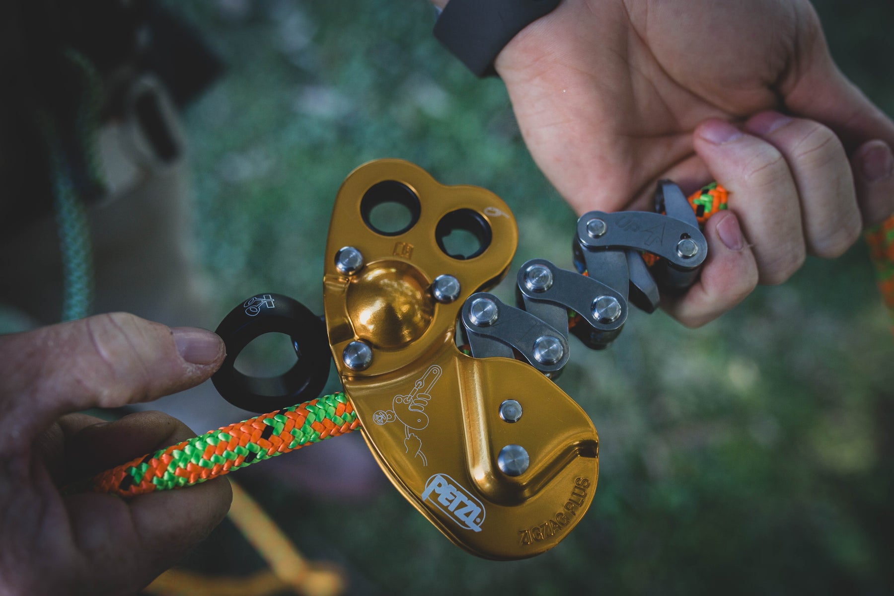 Petzl ZIGZAG PLUS mechanical Prusik in use during canopy climbing