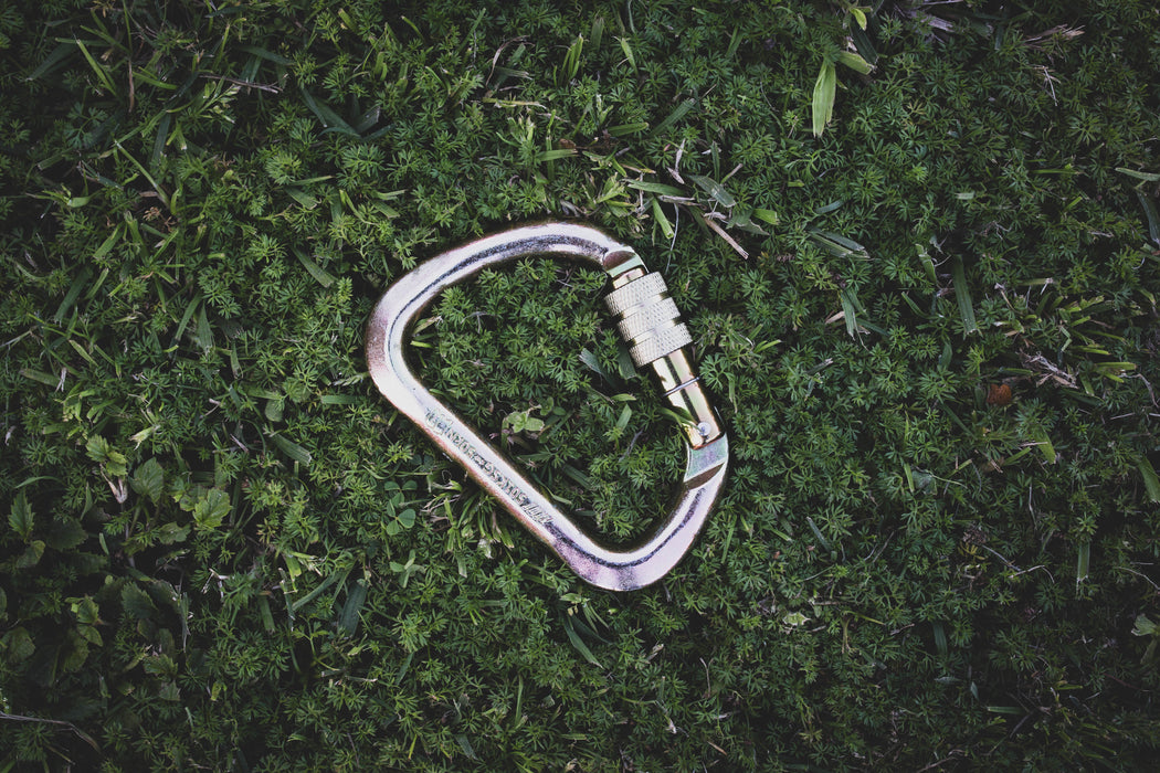JAMA EZYiD D Carabiner