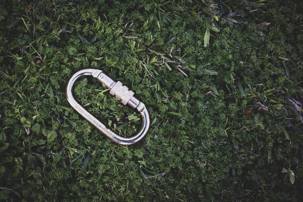JAMA EZYiD Oval Carabiner