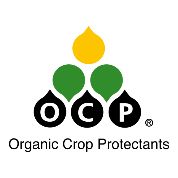OCP