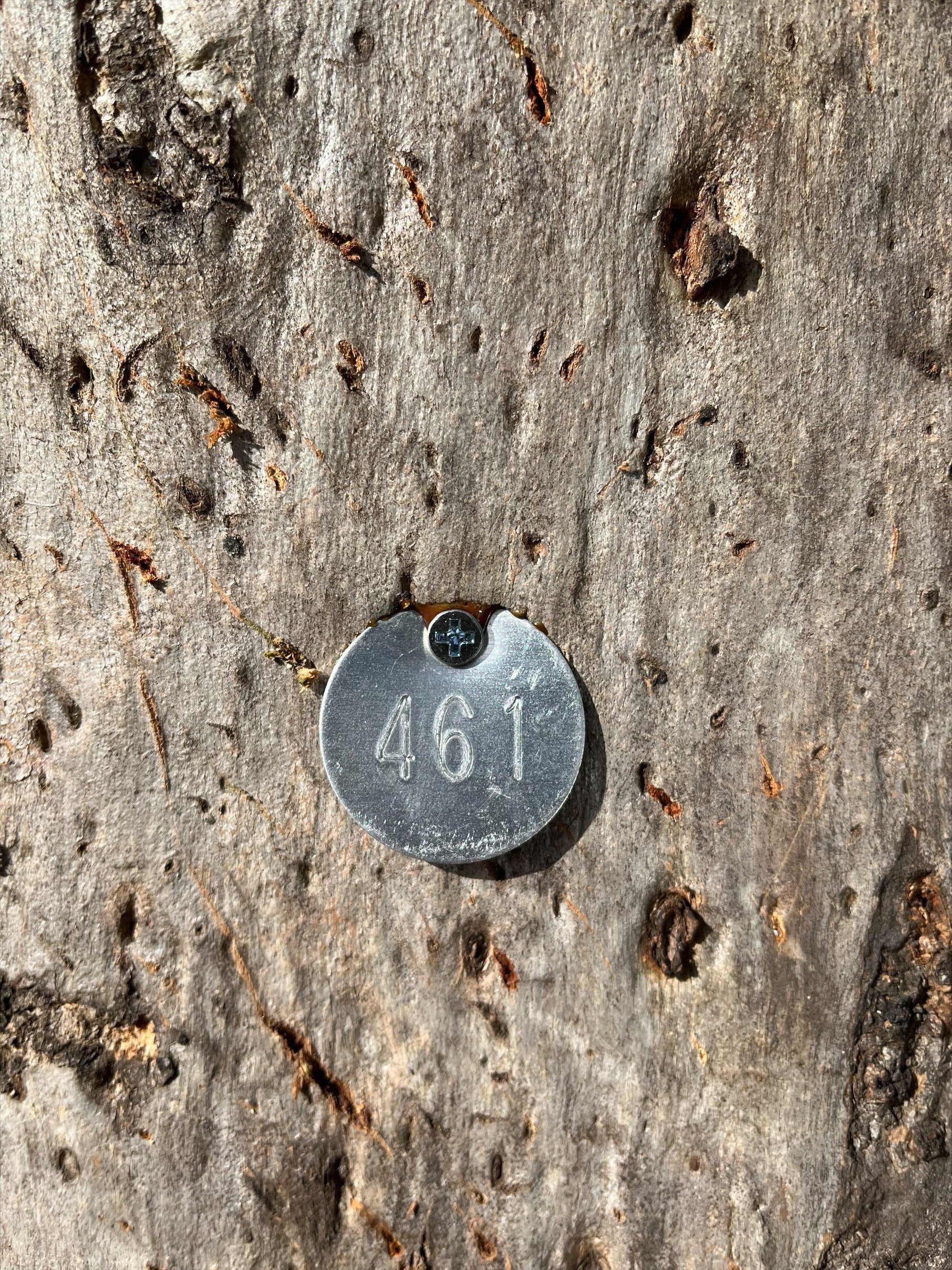 Aluminium Numbered Tree Tags Round — Arb Supplies