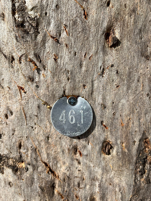 Aluminium Numbered Tree Tags Round