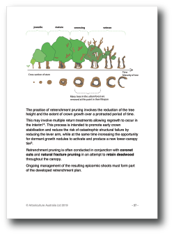 MIS312 Environmental Arboriculture