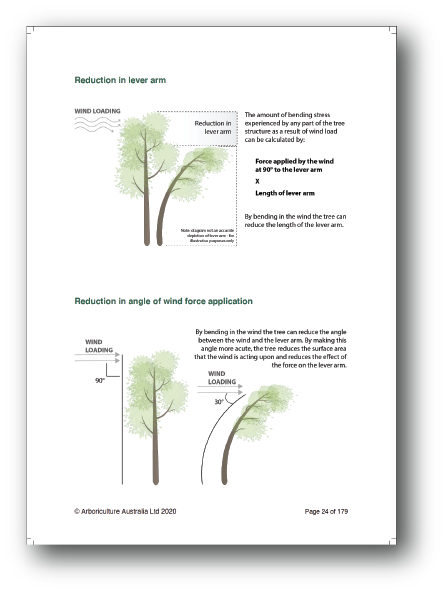 Tree Structural Support System MIS310 Tree Support Systems — ArbSupplies